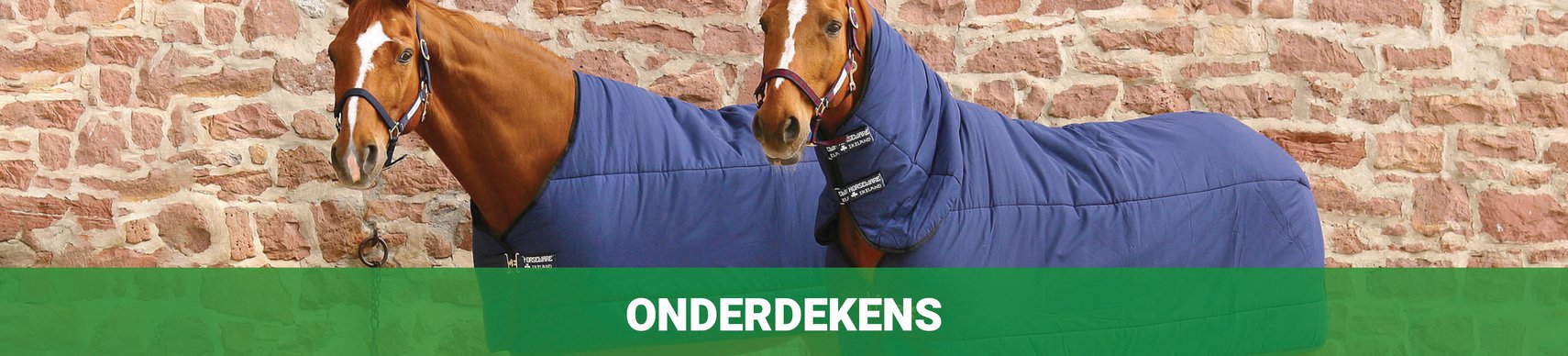 procedure Rafflesia Arnoldi Verwaarlozing Onderdeken kopen voor jouw paard? Aanbieding bij Agradi.nl!